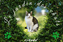 Le jardin des chats ASBL